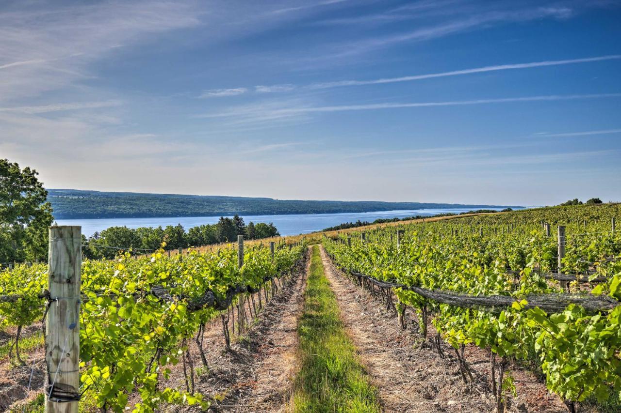 Finger Lakes Farm Retreat Walk To Wineries! Hector 외부 사진