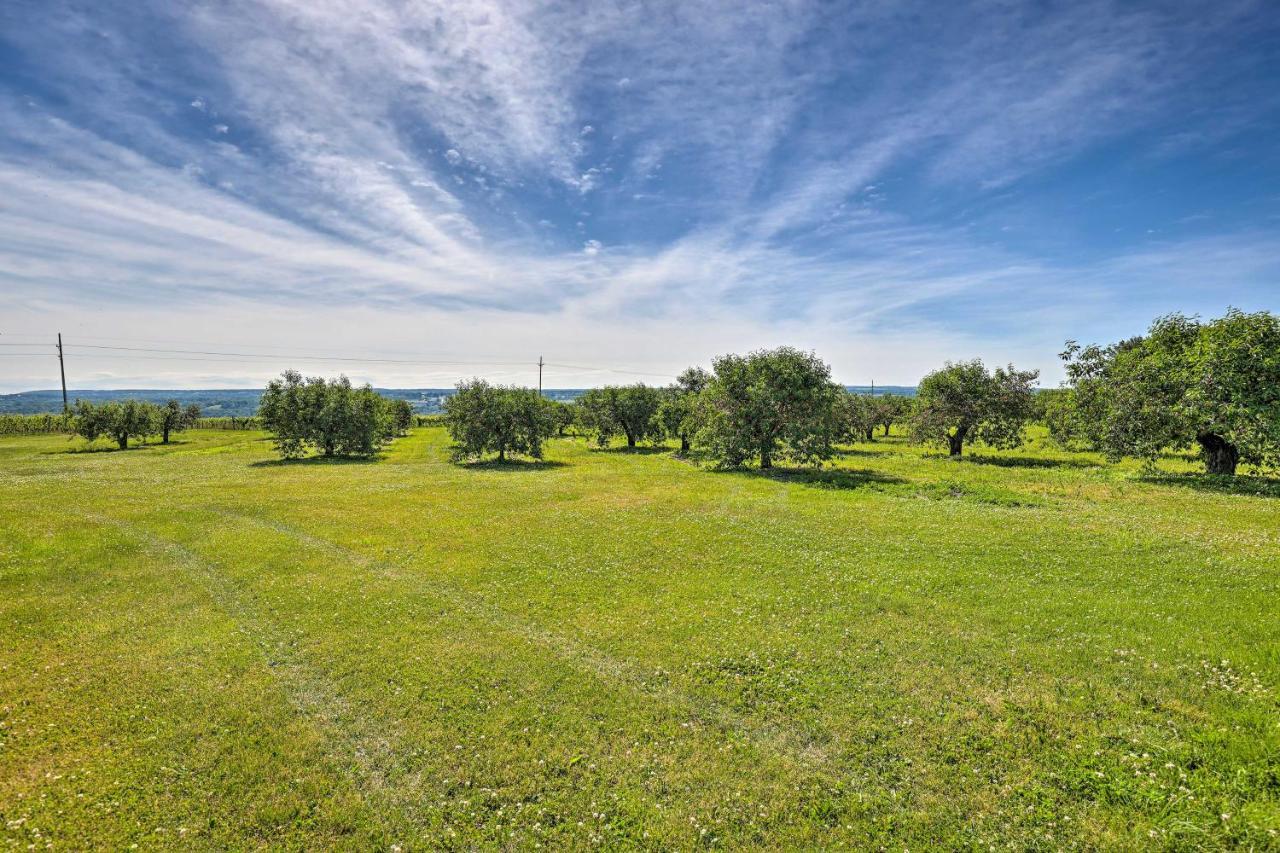Finger Lakes Farm Retreat Walk To Wineries! Hector 외부 사진