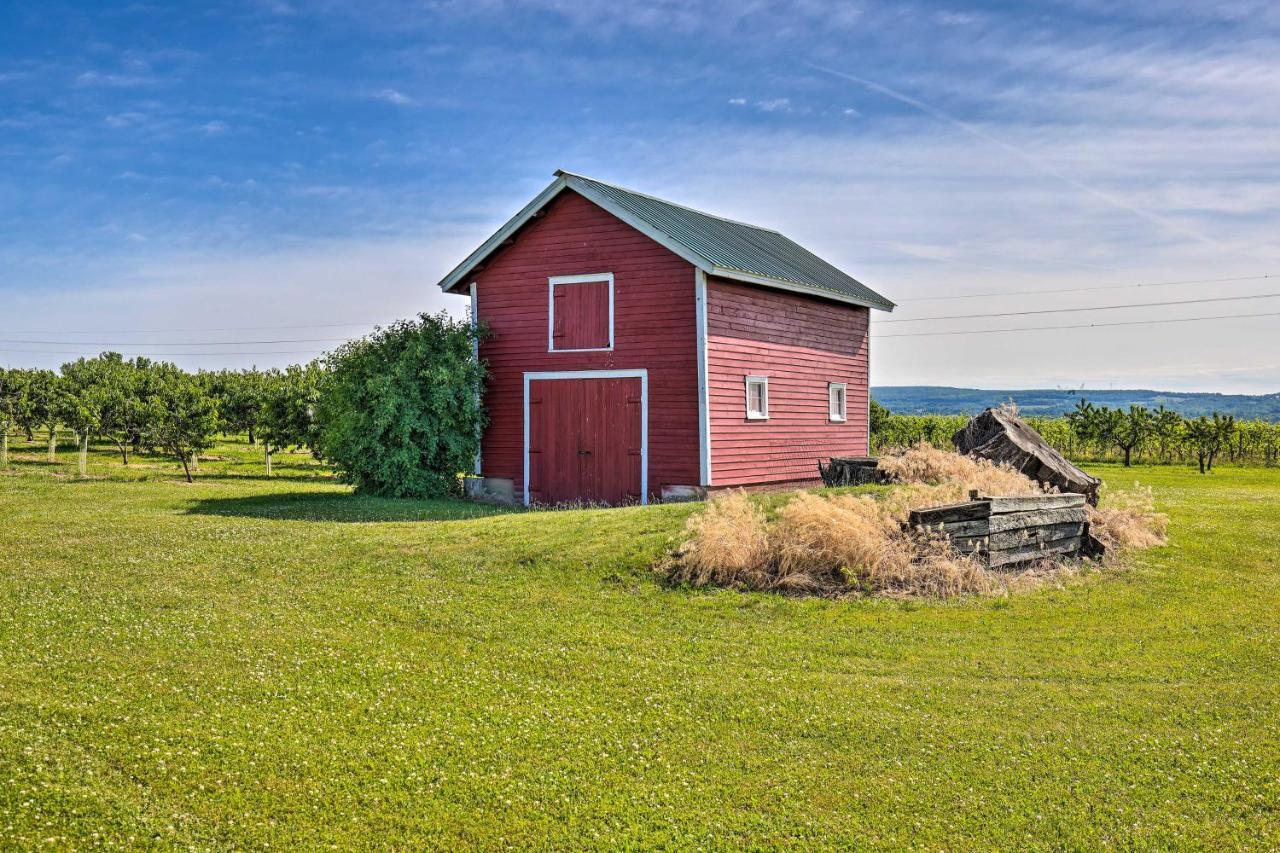 Finger Lakes Farm Retreat Walk To Wineries! Hector 외부 사진