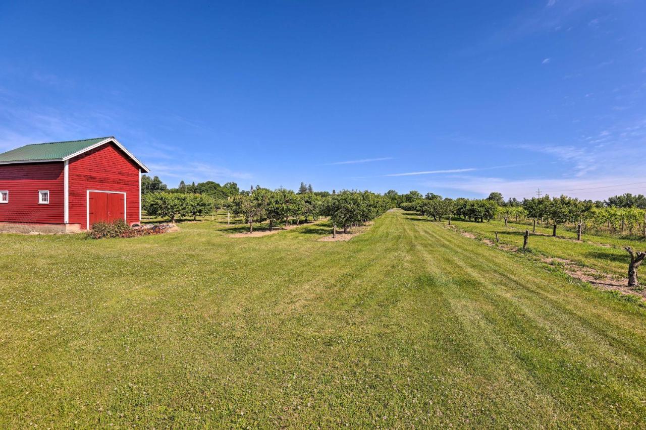 Finger Lakes Farm Retreat Walk To Wineries! Hector 외부 사진