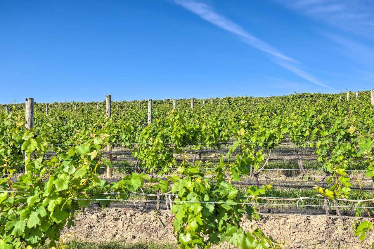 Finger Lakes Farm Retreat Walk To Wineries! Hector 외부 사진