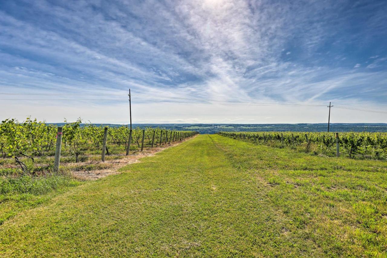 Finger Lakes Farm Retreat Walk To Wineries! Hector 외부 사진